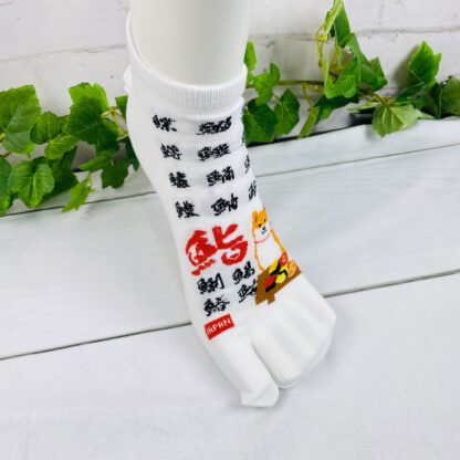 フレンズヒル 柴田さん 柴犬柄 レディース足袋ソックス 23-26cm - 画像 (9)
